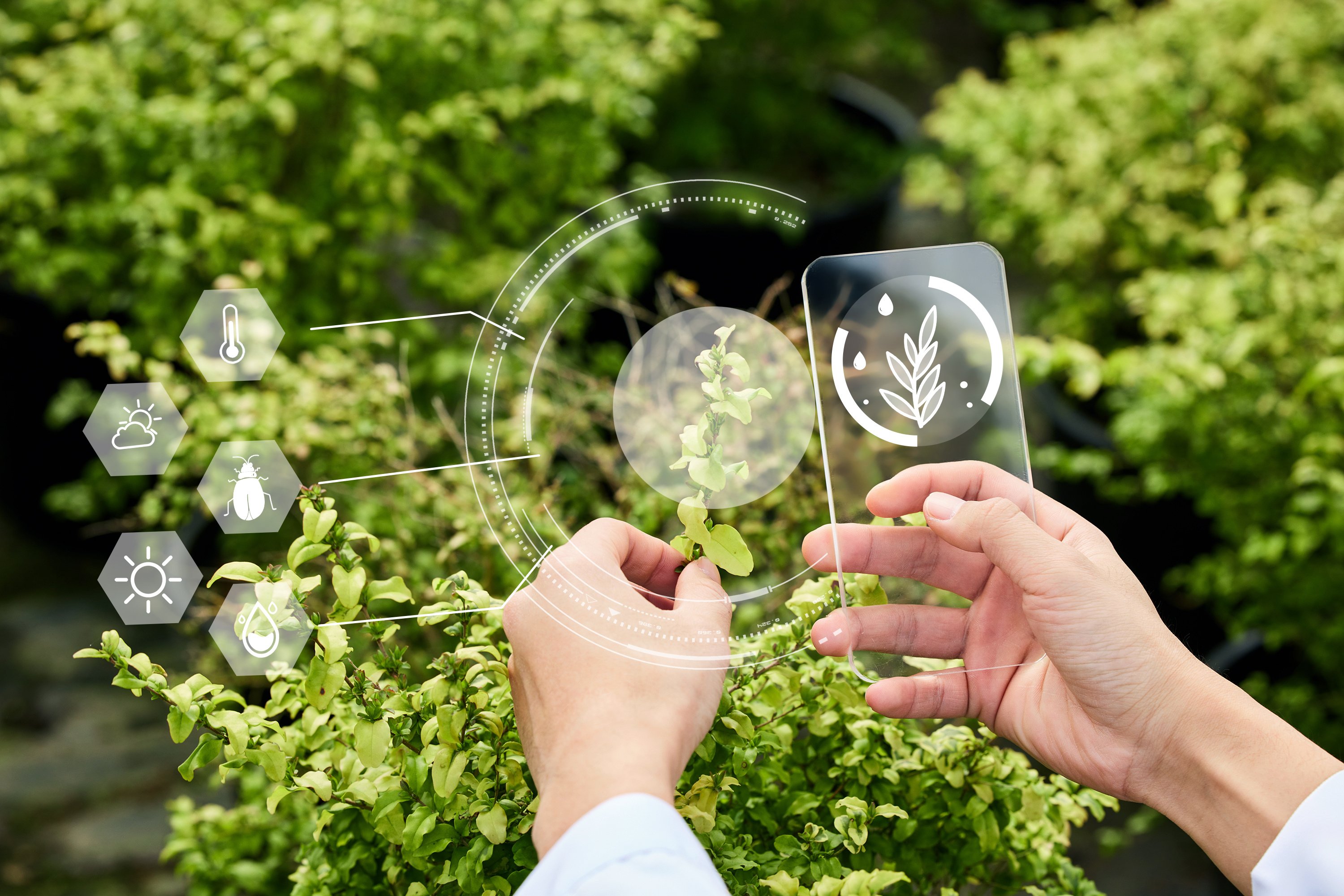 • 科技与贸易服务