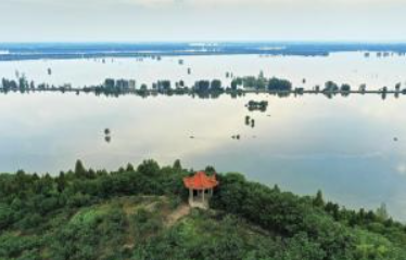 政企协同擘画发展新篇 战略携手共启产业升级——凤台县政府联合